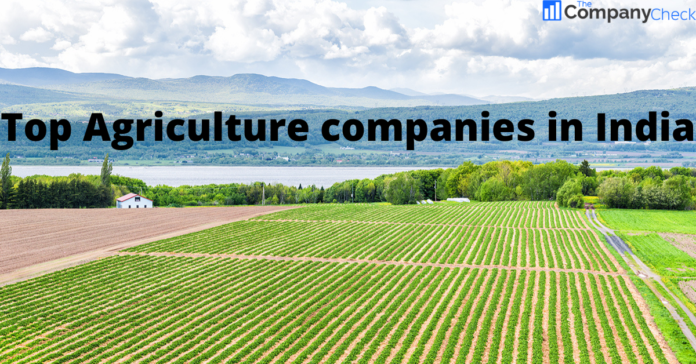 Top Agriculture companies in India
