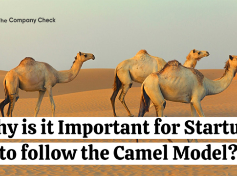 Why is it Important for Startups to follow the Camel Model?